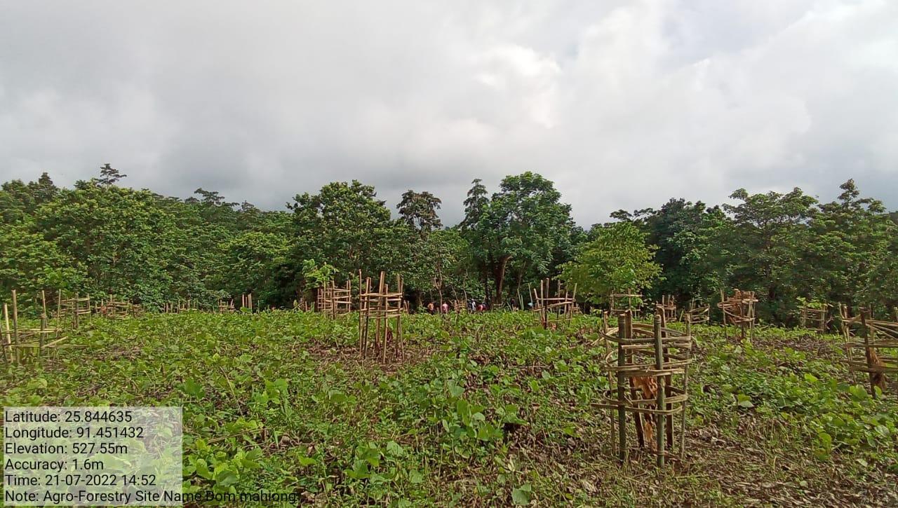 G:\VILLAGE REPORT PICTURES\JIRANG BLOCK\Belaheri\WhatsApp Image 2023-02-03 at 12.18.08.jpeg